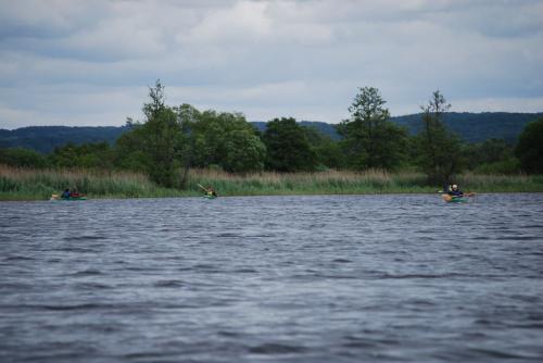 dsc_0111.jpg