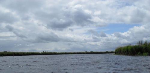 sdc10581.jpg
