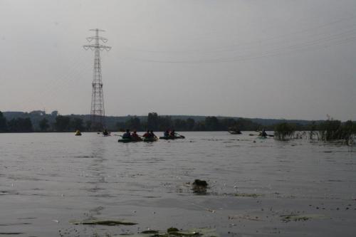 119.jpg