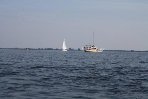 62.jpg