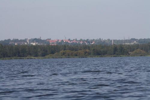 65.jpg