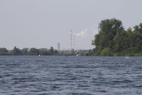 85.jpg